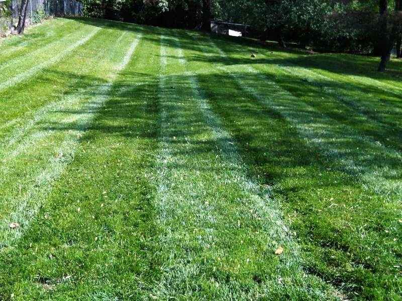 Residential Lawn Mowing in Raytown, MO - ALPM Clients Image-2