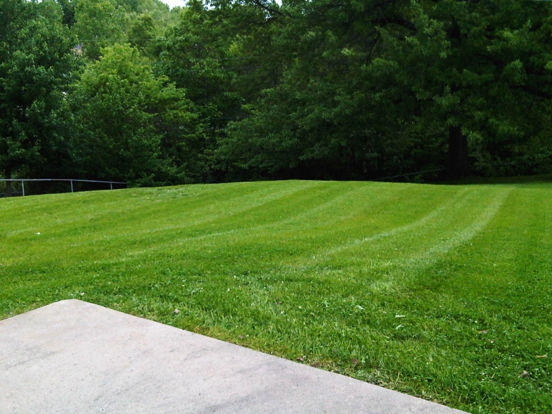Residential Lawn Mowing in Raytown, MO - ALPM Clients Image-5