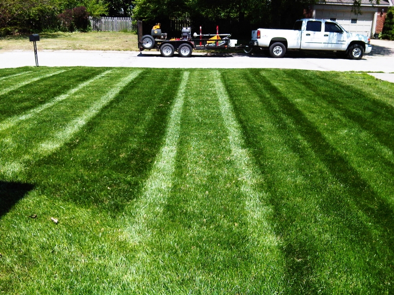 Residential Lawn Mowing in Raytown, MO - ALPM Clients Image-6