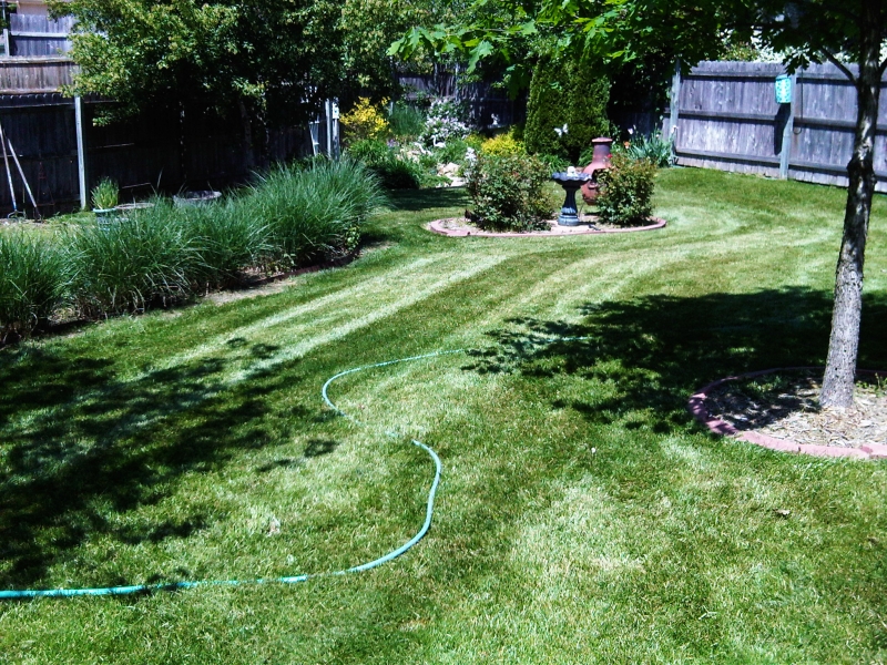 Residential Lawn Mowing in Raytown, MO - ALPM Clients Image-9