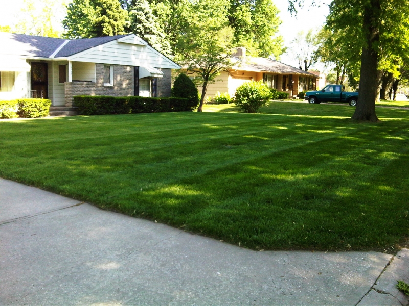Residential Lawn Mowing in Raytown, MO - ALPM Clients Image-12