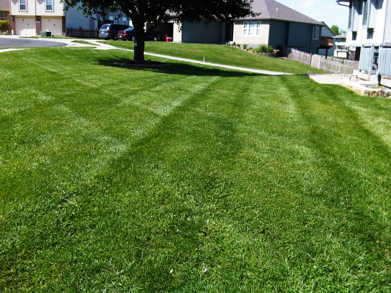Residential Lawn Mowing in Raytown, MO - ALPM Clients Image-15
