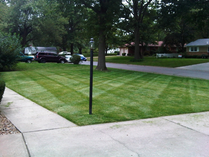 Residential Lawn Mowing in Raytown, MO - ALPM Clients Image-16