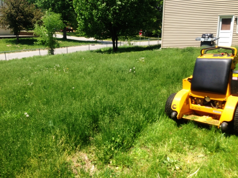 Mowing An Overgrown Lawn in Independence, MO - ALPM Clients Image-1