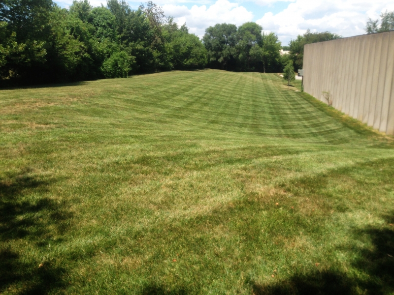 Commercial Lawn Mowing in Raytown - ALPM Clients Image-3