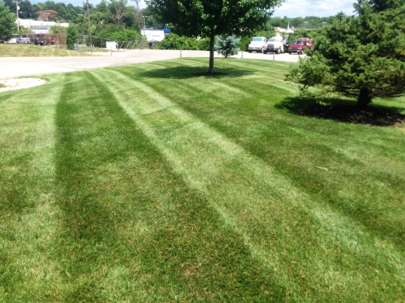 Commercial Lawn Mowing in Raytown - ALPM Clients Image-1