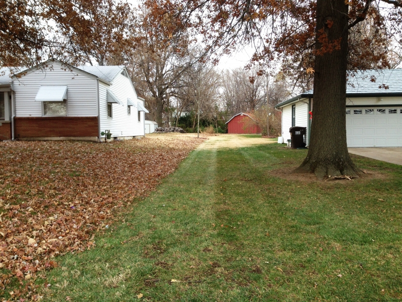 Leaf Removal Service in Raytown - ALPM Clients Image-1