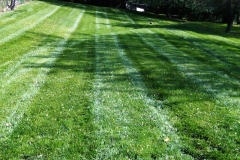 Residential Lawn Mowing in Raytown, MO - ALPM Clients Image-2