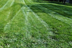 Residential Lawn Mowing in Raytown, MO - ALPM Clients Image-3