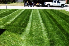 Residential Lawn Mowing in Raytown, MO - ALPM Clients Image-6