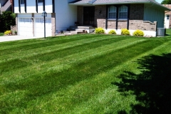 Residential Lawn Mowing in Raytown, MO - ALPM Clients Image-8
