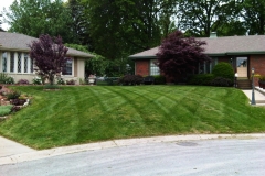 Residential Lawn Mowing in Independence, MO - ALPM Clients Image-14