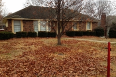 Before A Leaf Removal Service in Raytown - ALPM Clients Image-2