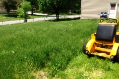 Mowing An Overgrown Lawn in Independence, MO - ALPM Clients Image-1