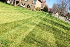 Residential Lawn Mowing in Lee's Summit - ALPM Clients Image-1