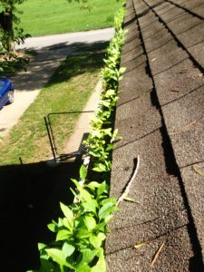 Gutter Cleaning Service | American Lawn Property Maintenance LLC | Serving Raytown, Independence Kansas City, MO