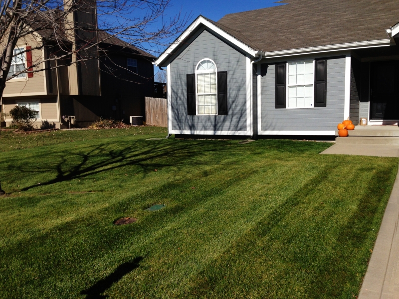 Residential Lawn Mowing Services | American Lawn Property Maintenance LLC | Serving Raytown, Independence Kansas City, MO